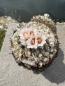Preview: Gymnocactus ysabelae